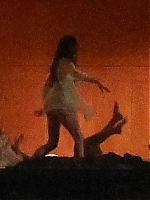 00154.jpg